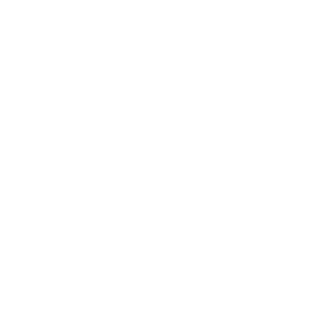 NESSELBLATT NETZWERK Druckhaus-Online.de